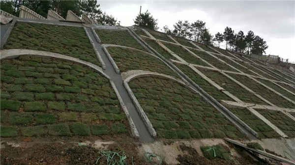 中鐵八局南昌市幸福渠水系綜合整治工程