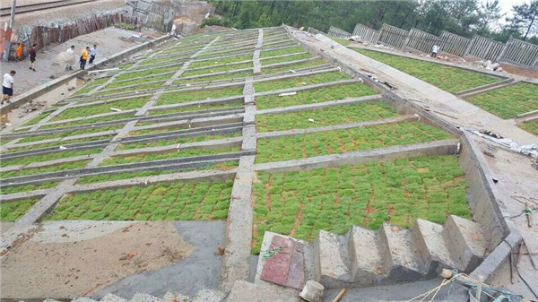 中鐵一局橋梁工程有限公司南昌市志敏大道改造工程